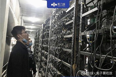 Mining farm hosting racks with numerous rigs humming