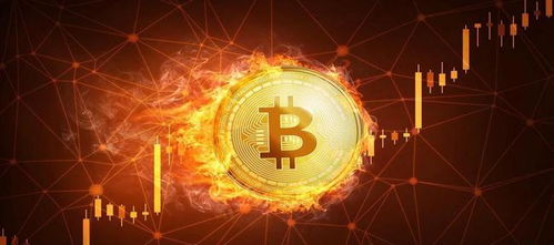 Choosing a Mining Rig